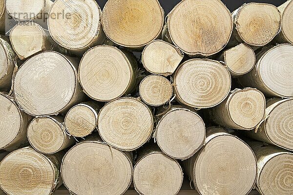Birch wood  stack