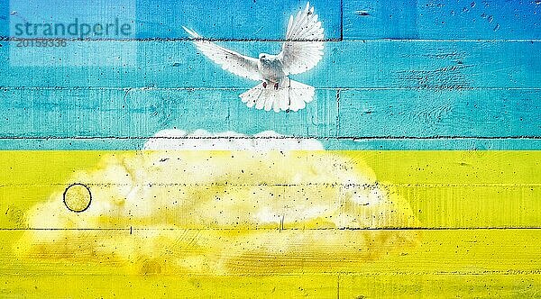 Friedenstaube auf einer Betonwand in den Farben der Ukrainenfahne