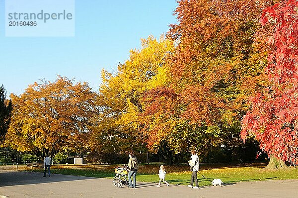 Schweiz: Menschen genießen die Herbstfarben am Zürichsee in Seefeld  retro  vintage  alt