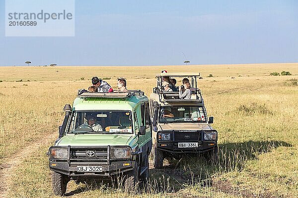 Touristen in Safarifahrzeugen beobachten und fotografieren die Tierwelt in der Savanne  Maasai Mara  Kenia  Afrika