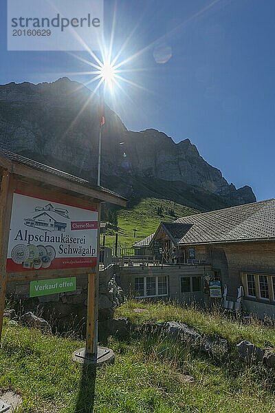 Urnäsch  Alpenschaukäserei Schwägalp  Landwirtschaft  Käseherstellung  Alm  Wald  Gegenlicht  Infotafel  Kanton Appenzell  Ausserrhoden  Appenzeller Alpen  Schweiz  Europa