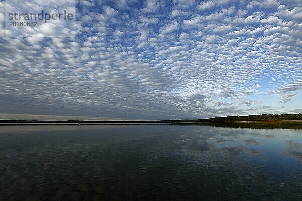 Wolkenformation mit Spiegelung im Wasser über einem See in Mecklenburg  Nationalpark Müritz  Mecklenburg-Vorpommern  Deutschland  Europa