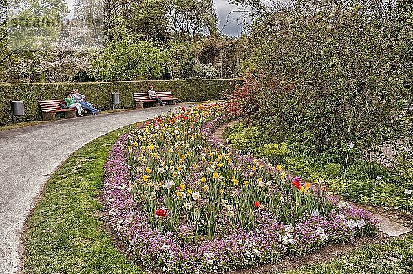 Botanischer Garten  Frühlingsblumen  Gemütliche Besucher  München  Bayern  Deutschland  Europa