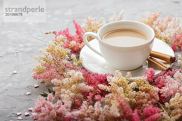 Rosa und rote Astilbe Blumen und eine Tasse Kaffee auf einem grauen Beton Hintergrund. Morninig  Frühling  Mode Zusammensetzung. Seitenansicht  Nahaufnahme  selektiver Fokus