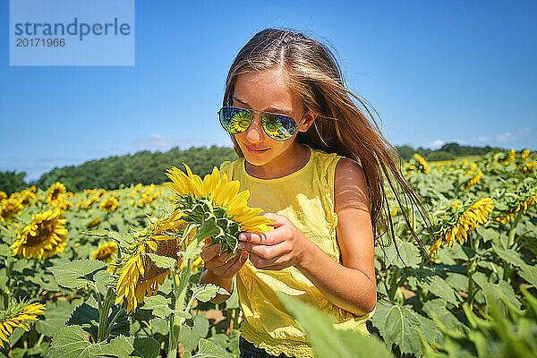 Mädchen trägt Sonnenbrille und betrachtet Sonnenblume im Feld