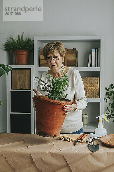 Ältere Frau hebt zu Hause Blumentopf auf