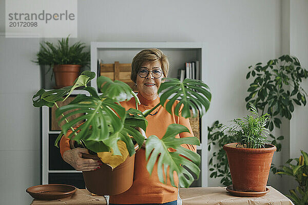 Lächelnde ältere Frau  die zu Hause eine Monstera-Pflanze unter dem Arm trägt