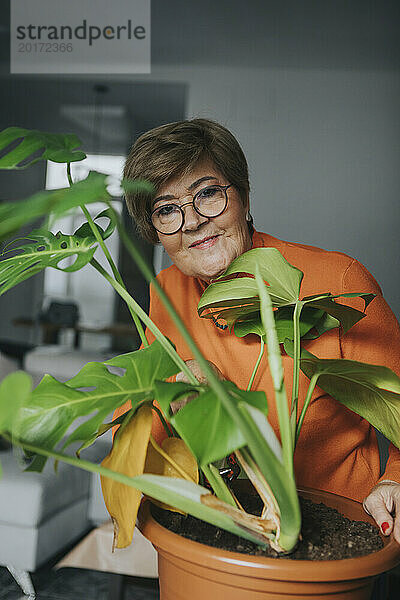Lächelnde ältere Frau in der Nähe der Monstera-Pflanze zu Hause