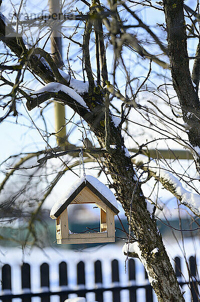 Vogelhaus hängt im Winter am Baum
