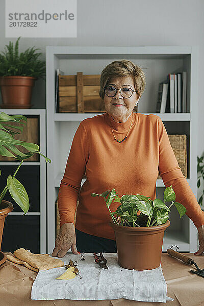 Lächelnde ältere Frau mit Pothos-Pflanze auf dem heimischen Tisch