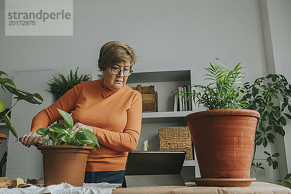 Ältere Frau schaut sich Tutorial an und macht zu Hause Gartenarbeit