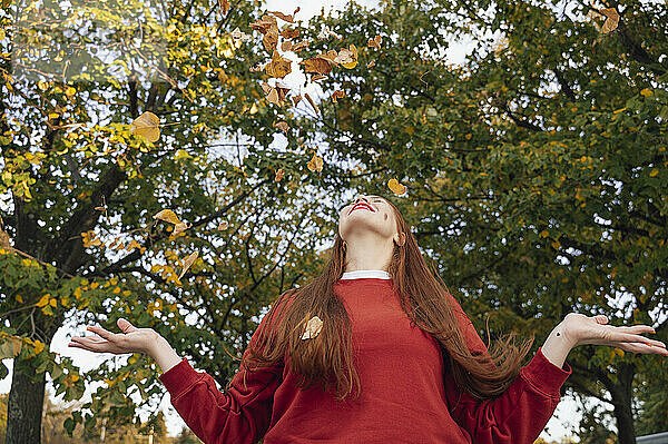 Rothaarige Frau spielt mit Herbstblättern unter einem Baum im Park