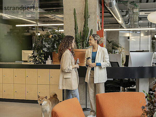 Junge Geschäftsfrau diskutiert mit einem Kollegen  der im Büro neben dem Hund steht