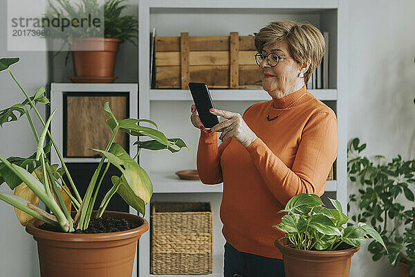 Ältere Frau fotografiert Pflanze zu Hause per Smartphone