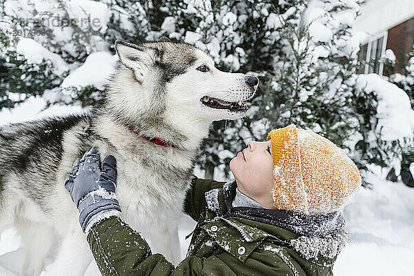 Junge streichelt Husky-Hund neben Baum im Schnee