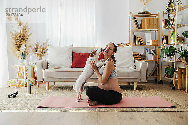 Happy pregnant woman enjoying dog licking her at home