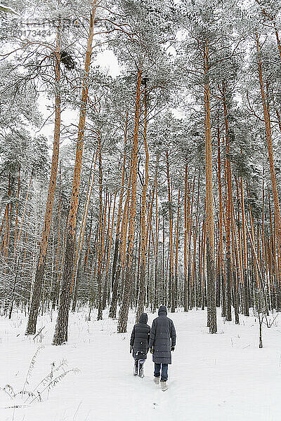 Vater und Sohn gehen im Winterwald spazieren