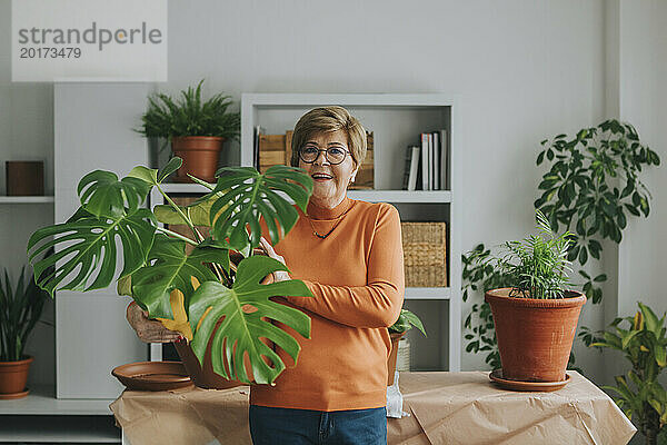 Ältere lächelnde Frau trägt Monstera-Pflanze neben dem Tisch zu Hause