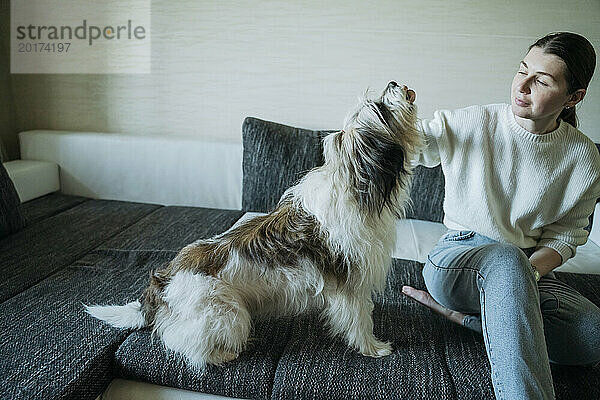 Frau sitzt mit Tibet Terrier zu Hause auf dem Sofa