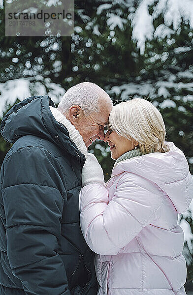 Affectionate mature couple face to face in winter