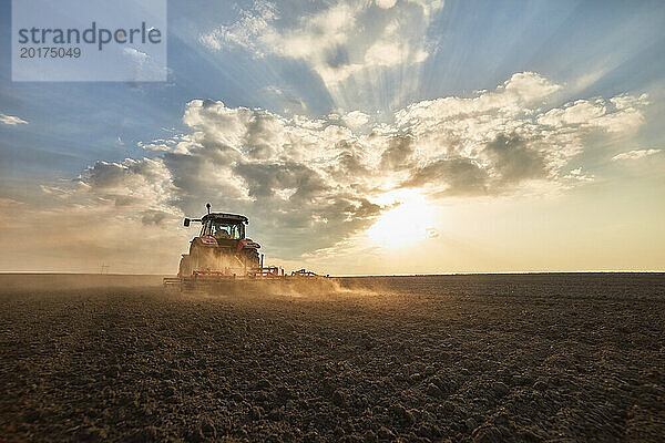 Traktor pflügt und bestellt Feld bei Sonnenuntergang
