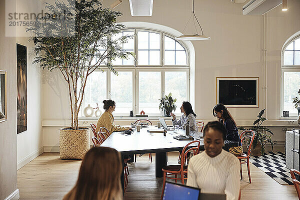 Weibliche Geschäftskollegen arbeiten im Coworking-Büro zusammen