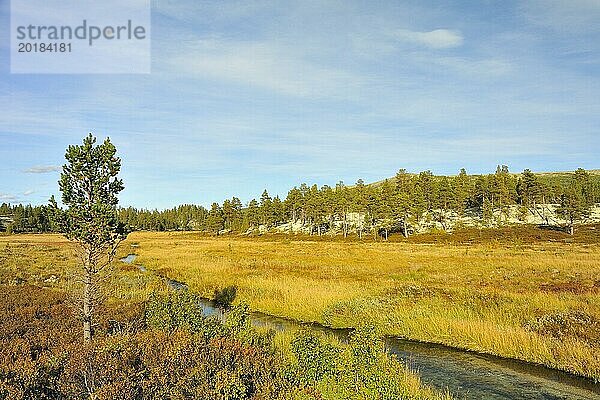 Rondane Nationalpark im Herbst. Norwegen Rondane National Park in the fall. (Norway)