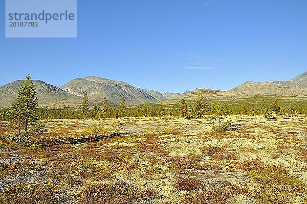 Rondane Nationalpark im Herbst. Norwegen Rondane National Park in the fall. (Norway)