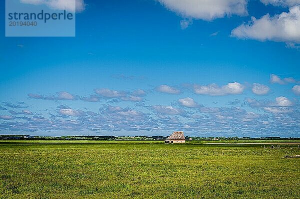 Eine einsame Hütte unter einem ausgedehnten blauen Himmel  umgeben von der Stille weitläufiger Felder  Den Hoorn  Texel  Noord-Holland  Niederland