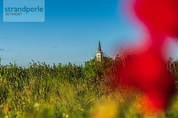 Der unscharf gehaltene Vordergrund verleiht der klaren Sicht auf den Kirchturm in der Ferne eine geheimnisvolle Stimmung  Den Hoorn  Texel  Noord-Holland  Niederland