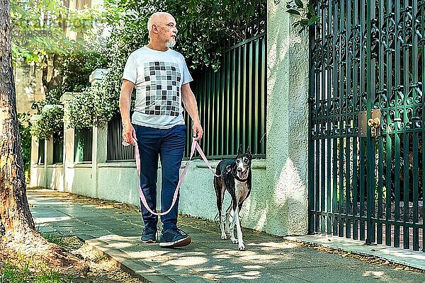 Älterer Mann  der mit seinem Hund auf dem Bürgersteig eines ruhigen  von Bäumen gesäumten Viertels spazieren geht