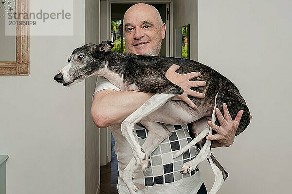 Glücklicher Mann mittleren Alters mit Glatze  der seinen geretteten Windhund im Haus auf dem Arm hält