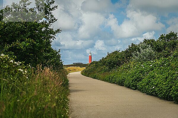 Ein ruhiger Weg schlängelt sich durch die grüne Landschaft zum Leuchtturm  vorbei an Blumen und Pflanzen  Texel  Noord-Holland  Niederland