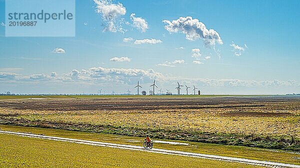 Radfahrer auf dem Landweg mit Windrädern am Horizont  Gefühl von Ruhe und Weite  Greetsiel  Norden  Ostfriesland  Niedersachsen