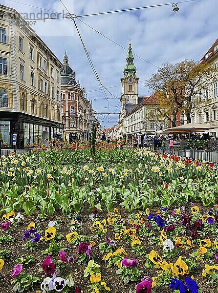 Graz  Österreich  26.03.2023: Bunte Frühlingsblumen auf dem Jakominiplatz und die Pfarrkirche im Hintergrund  eine berühmte Sehenswürdigkeit in der Stadt Graz  Steiermark  Österreich. Selektiver Fokus  Europa