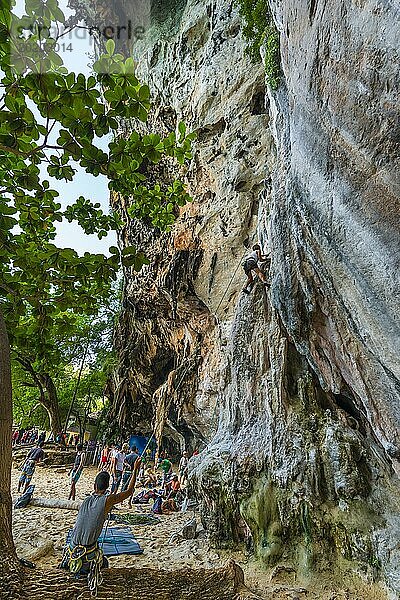 Felskletterer am Phra Nang beach bei Krabi  Kletterer  Outdoor  Aktivurlaub  klettern  Felsen  Kreidefelsen  Sandsteinfelsen  Klettersport  Sport  Sporturlaub  Felsklettern  Höhenfest  Schwindelfrei  Mut  Angst  Angstüberwindung  Überwindung  Extremsportler  Extremsport  Sicherheit  Anseilen  Angeseilt  Thai
