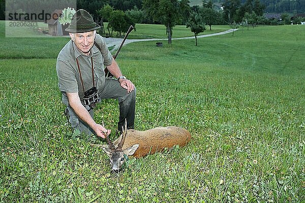 Jäger freut sich über erlegten  kapitalen Rehbock (Capreolus capreolus) Eichenbruch am Hut  Niederösterreich  Österreich  Europa