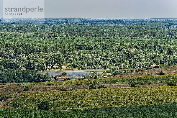 Landschaft am Saint George Branch  dem St. Georgs Arm  dem südlichen Arm der Donau im Donaudelta. Tulcea  Rumänien  Europa
