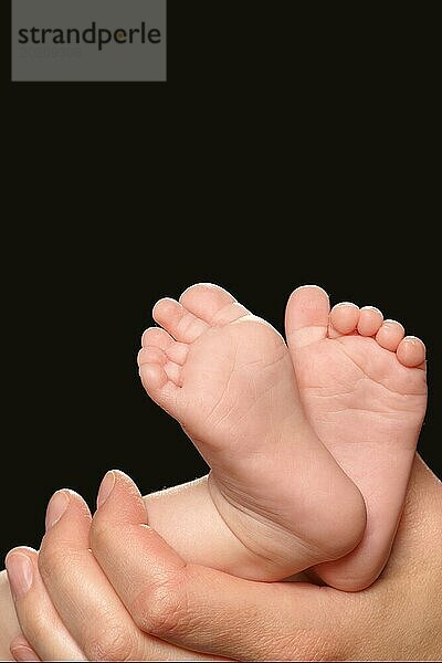 Eine Hand hält die Füße eines Babys  Hamburg  Bundesrepublik Deutschland