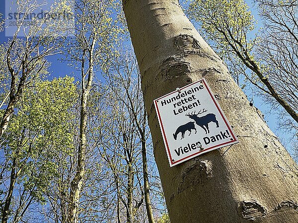 Schild mit der Bitte  Hunde anzuleinen  um das Wild zu schützen  Dortmund  Nordrhein-Westfalen  Deutschland  Europa
