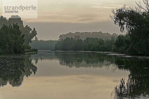 Morgendlicher Dunst über dem Wasser im UNESCO Biosphärenreservat Donaudelta. Munghiol  Tulcea  Rumänien  Europa