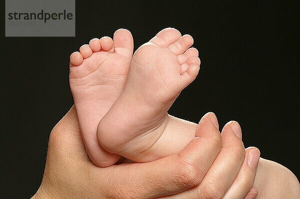 Eine Hand hält die Füße eines Babys  Hamburg  Bundesrepublik Deutschland