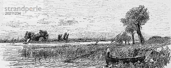 Feuchtgebiete entlang der Elbe  Flussufer  Ruderboot  ruhige Idylle  ländlich  Hansestadt Hamburg  Deutschland  historische Ilustration 1880  Europa