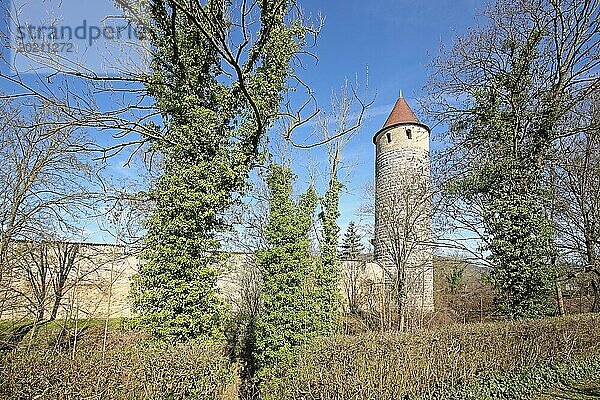 Historischer Eulenturm mit Stadtmauer  Stadtbefestigung  Wehrturm  Iphofen  Unterfranken  Franken  Bayern  Deutschland  Europa