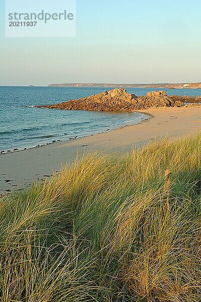 Eine ruhige Strandszene mit grasbewachsenen Dünen im Vordergrund  die zu einem felsigen Vorsprung am Meer führen  Erquy