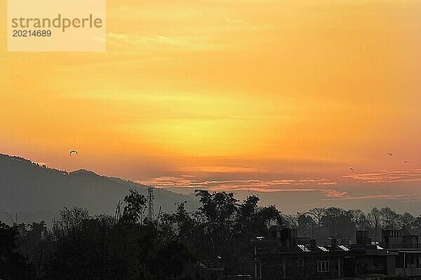 Dramatischer Sonnenaufgang mit orangefarbenem Himmel  Silhouetten von Vögeln und Bergen  Pokhara-Tal  Pokhara  Nepal  Asien