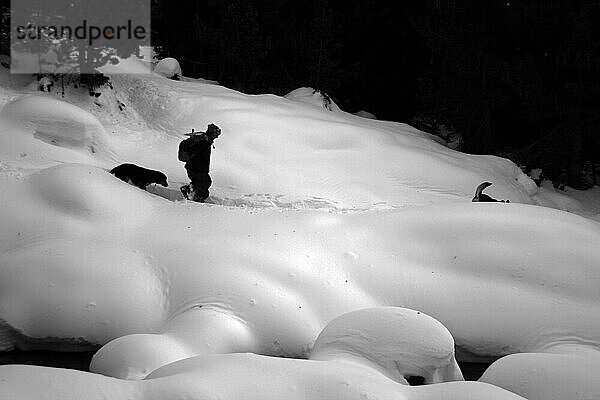 Eine Person mit zwei Hunden in einer verschneiten Landschaft  möglicherweise auf einer Wanderung  Amazing Dogs in the Nature