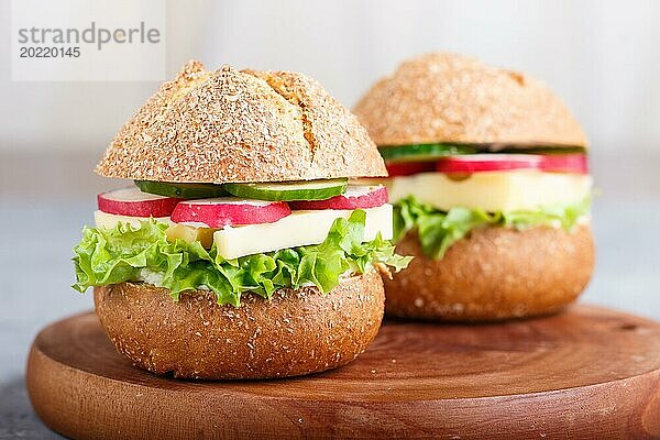 Sandwiches mit Käse  Radieschen  Salat und Gurken auf einem Holzbrett vor einem grauen Betonhintergrund. Seitenansicht  Nahaufnahme  selektiver Fokus