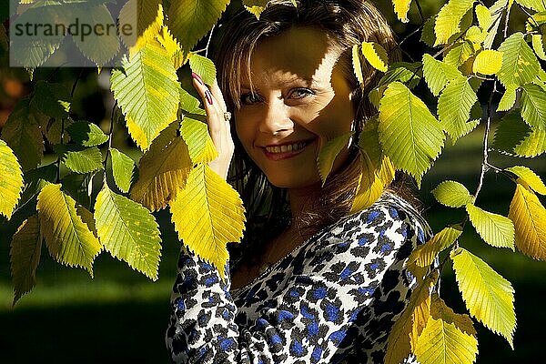 Schönheit Frau Porträt unter wutumn Baum in Sonnenuntergang