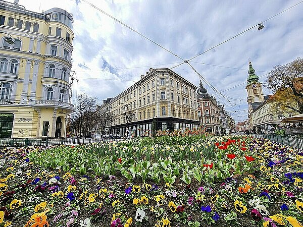 Graz  Österreich  26.03.2023: Bunte Frühlingsblumen auf dem Jakominiplatz und die Pfarrkirche im Hintergrund  eine berühmte Sehenswürdigkeit in der Stadt Graz  Steiermark  Österreich. Selektiver Fokus  Europa